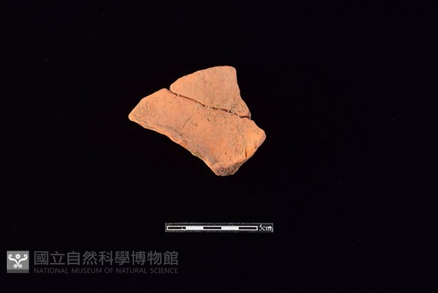 連杯形器藏品圖，第1張