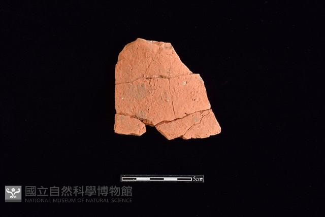 連杯形器藏品圖，第1張