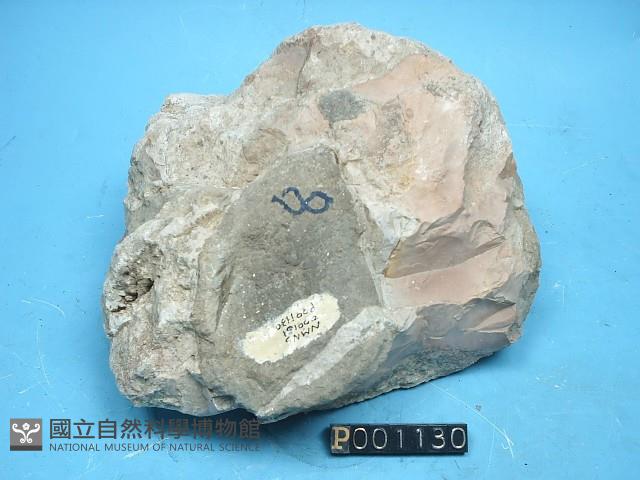 燧石藏品圖，第5張