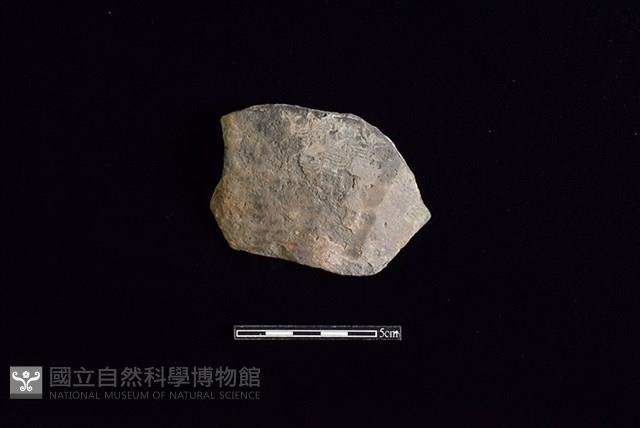 陶片藏品圖，第1張