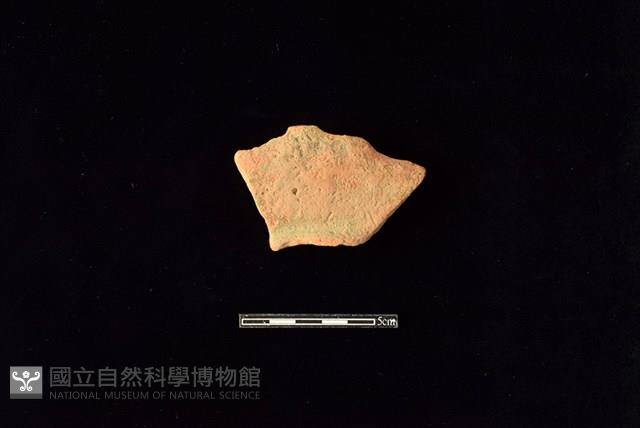 連杯形器藏品圖，第1張