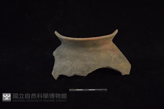 陶罐藏品圖，第1張