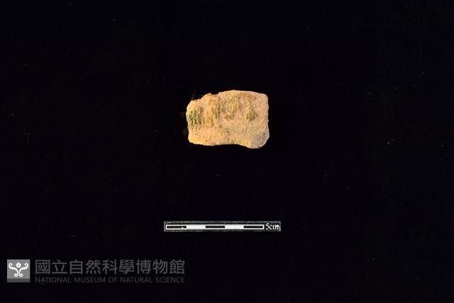 陶罐藏品圖，第1張