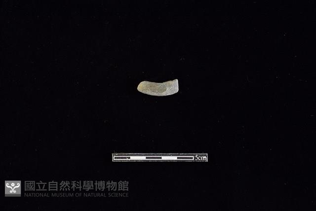 陶環藏品圖，第1張