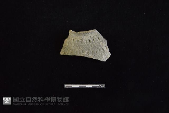 陶罐藏品圖，第1張