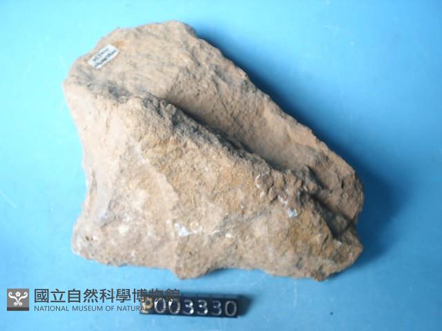 凝灰岩藏品圖，第4張