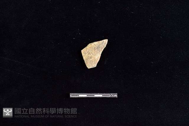 陶片藏品圖，第1張
