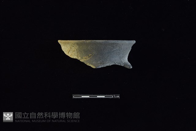 陶罐藏品圖，第1張