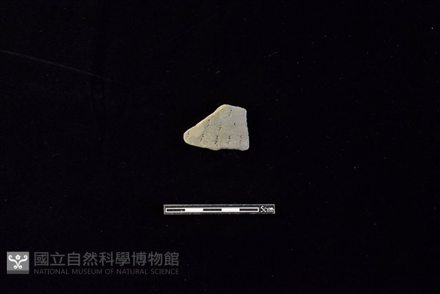 陶片藏品圖，第1張
