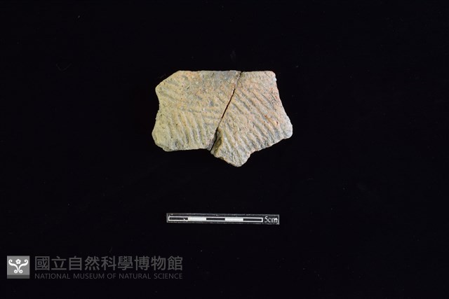 陶片藏品圖，第1張