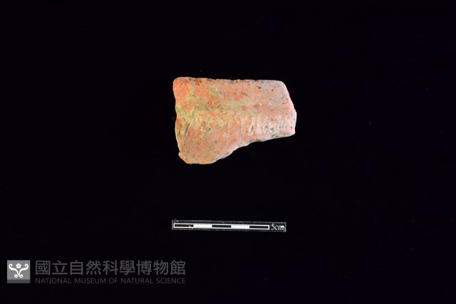 陶罐藏品圖，第1張