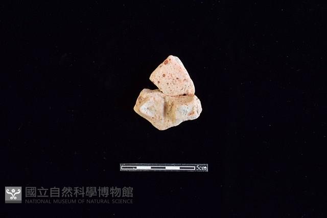 陶片藏品圖，第1張