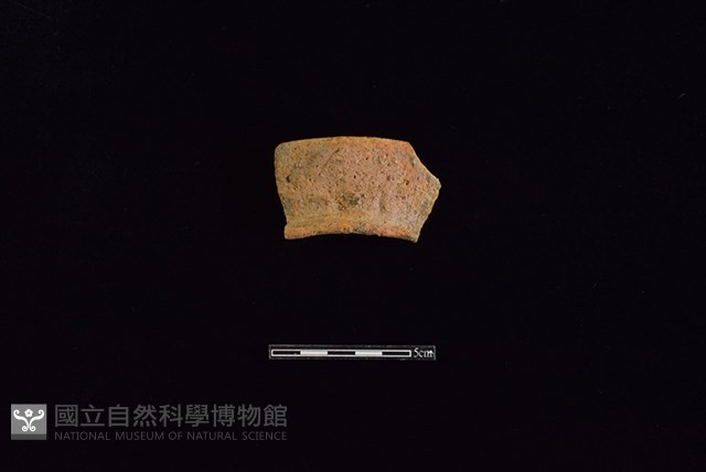 陶罐藏品圖，第1張