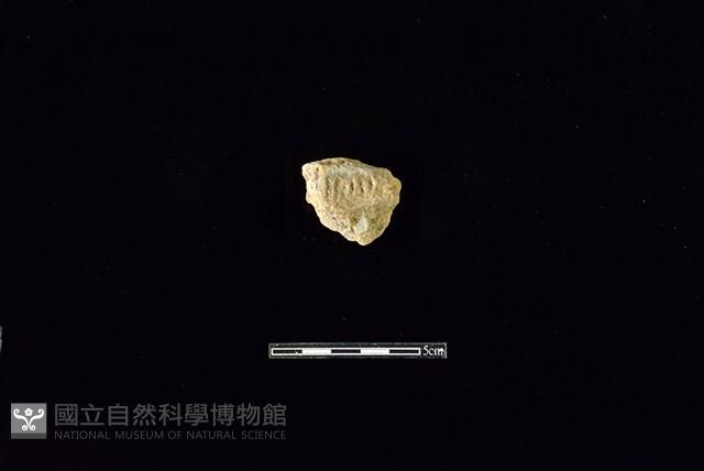 陶罐藏品圖，第1張