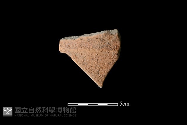 陶罐藏品圖，第1張