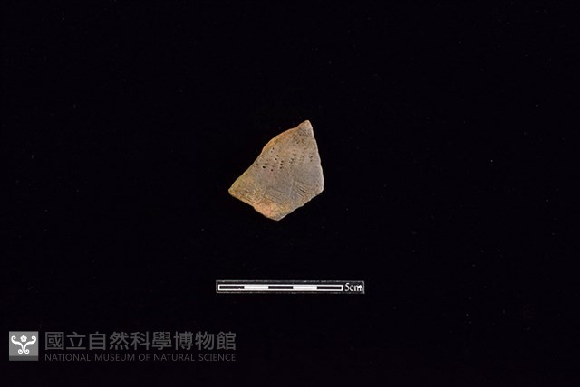 陶罐藏品圖，第1張