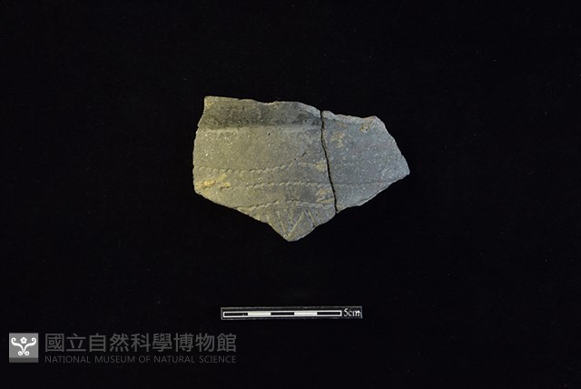 陶罐藏品圖，第1張
