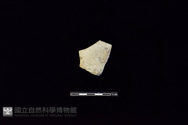 陶片藏品圖，第1張