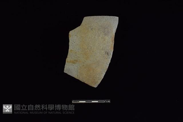 陶片藏品圖，第1張