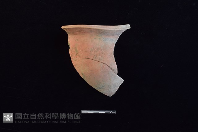 陶罐藏品圖，第1張