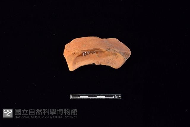 陶片藏品圖，第1張