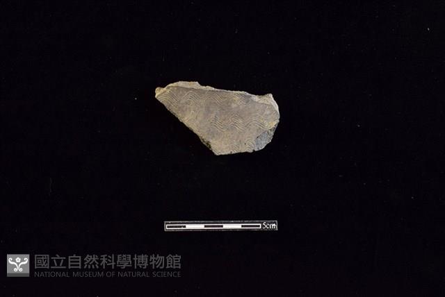 Accession Number:HLL-D PT3040 Collection Image, Figure 1, Total 2 Figures