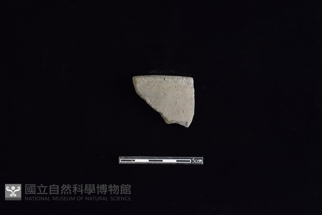 陶罐藏品圖，第1張