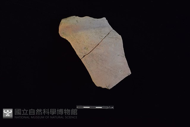 陶罐藏品圖，第1張