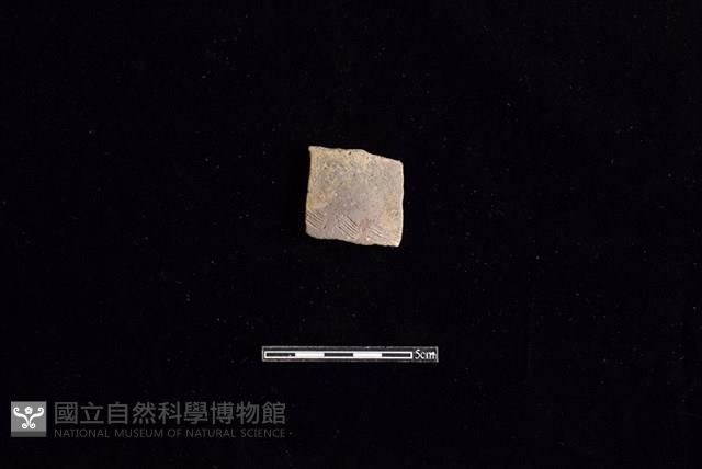 陶片藏品圖，第1張