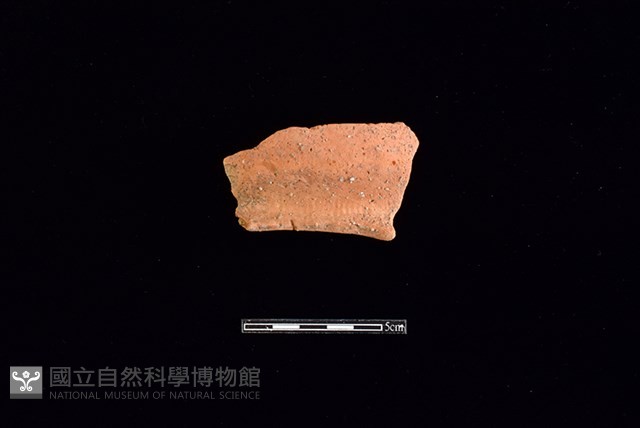陶罐藏品圖，第1張