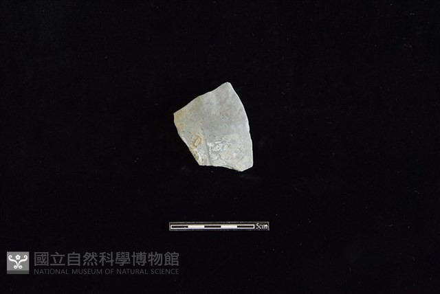 陶片藏品圖，第1張