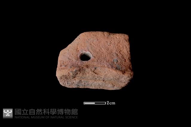 陶片藏品圖，第1張