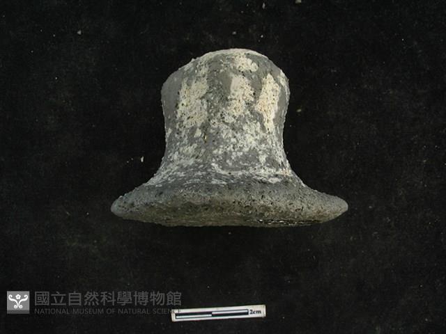 陶鈕藏品圖，第1張