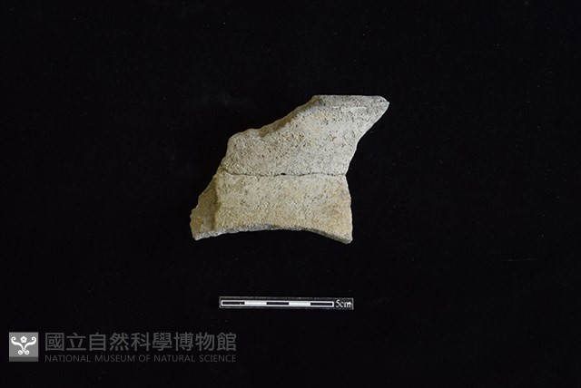 陶罐藏品圖，第1張