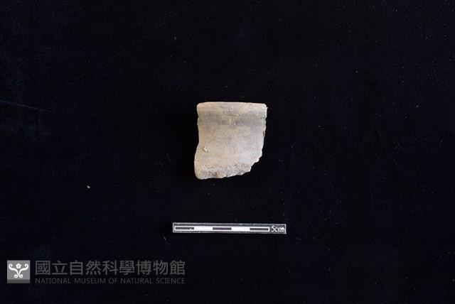 陶罐藏品圖，第1張