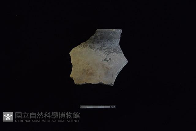 陶罐藏品圖，第1張