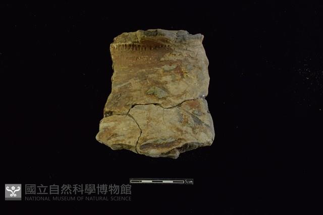 陶罐藏品圖，第1張