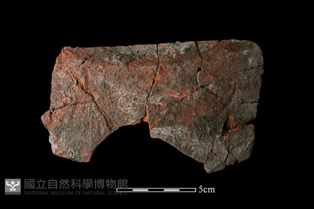 陶缽藏品圖，第1張