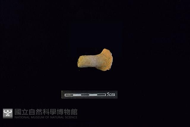 陶把藏品圖，第1張