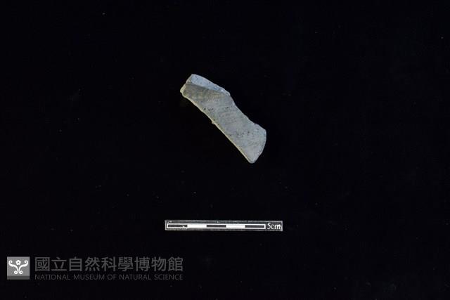 陶片藏品圖，第1張