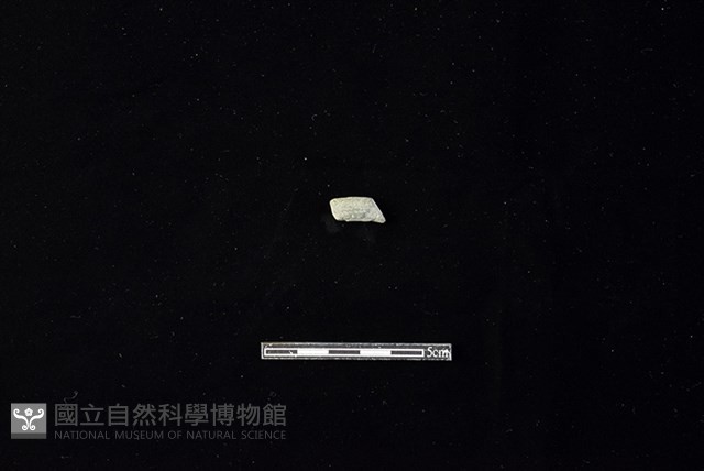 陶環藏品圖，第1張