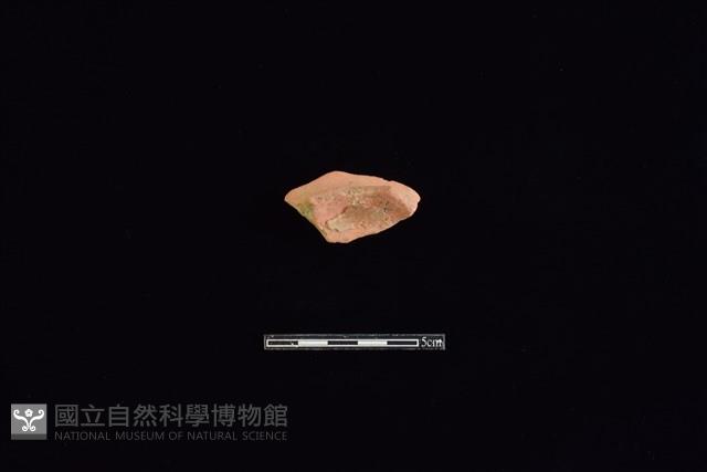 陶片藏品圖，第1張