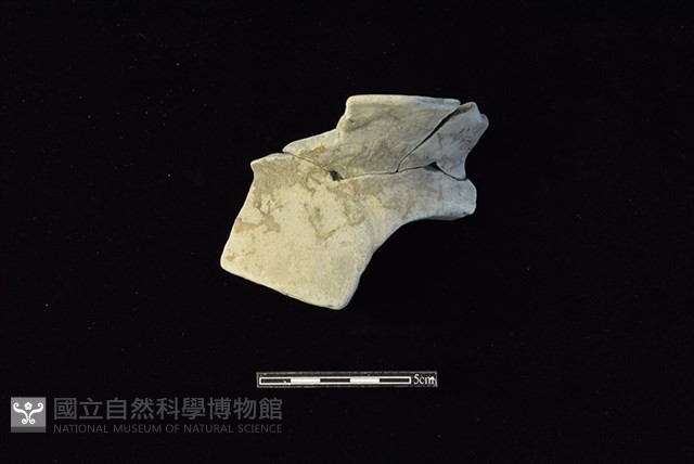 陶罐藏品圖，第1張