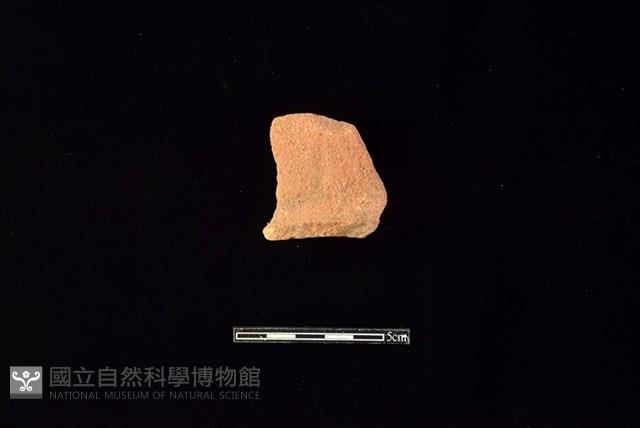 陶罐藏品圖，第1張