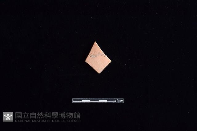 陶片藏品圖，第1張