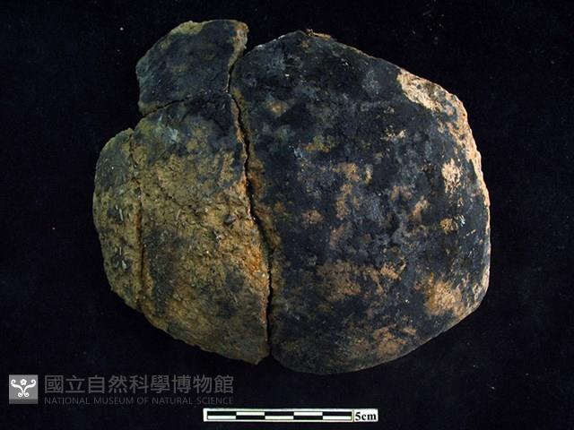 陶缽藏品圖，第1張