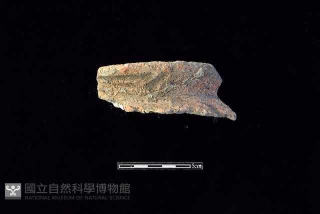 陶罐藏品圖，第1張