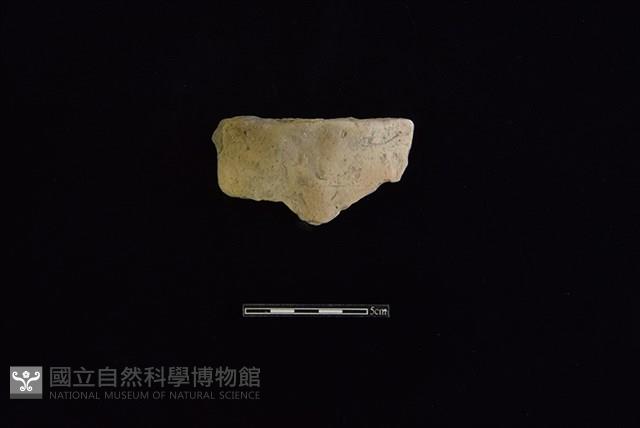 陶缽藏品圖，第1張