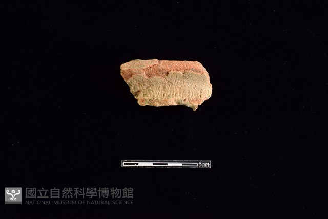 陶罐藏品圖，第1張