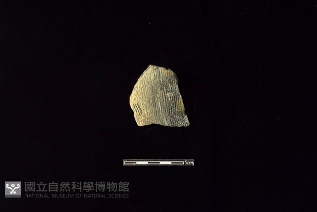 陶片藏品圖，第1張